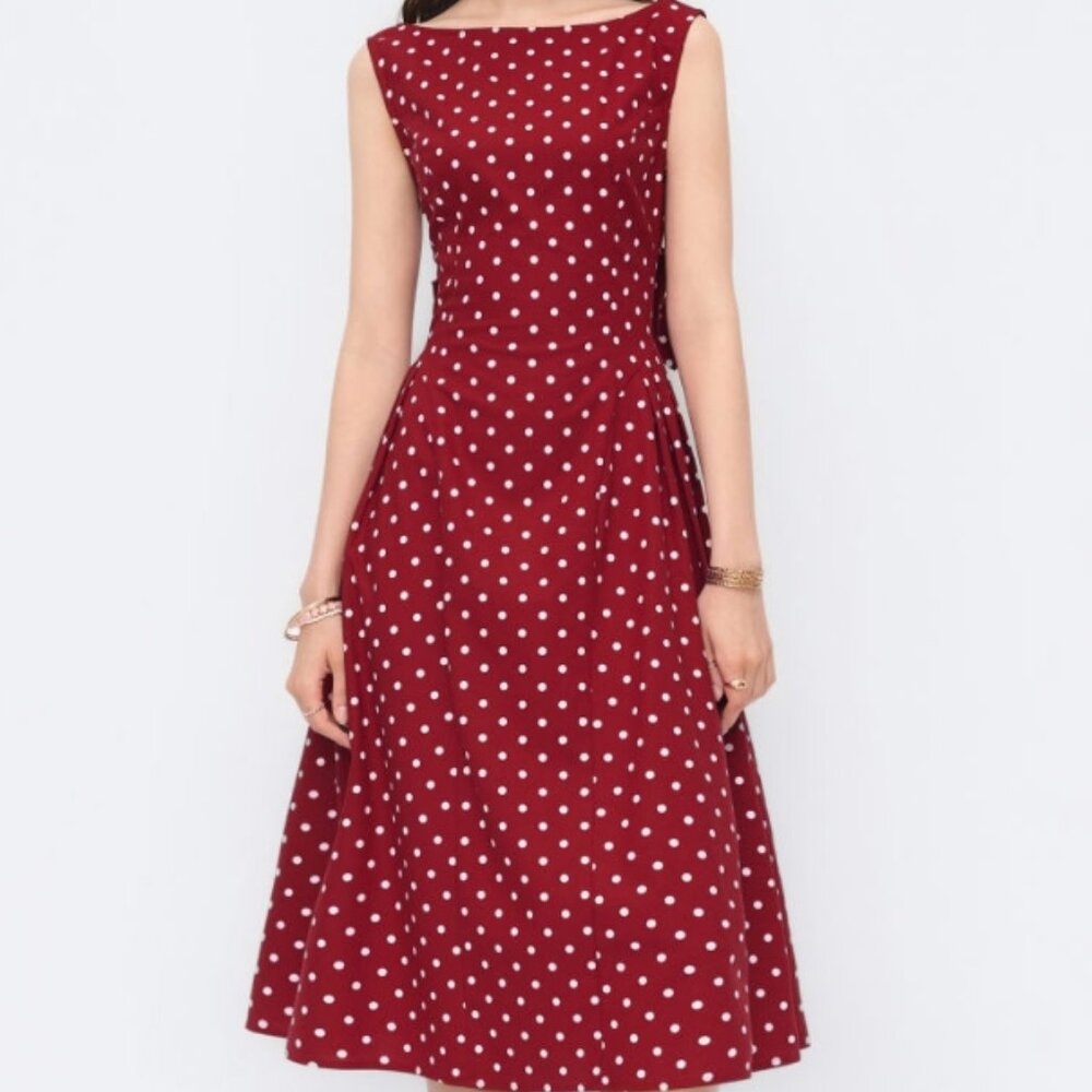 Polka Dot Cider dress